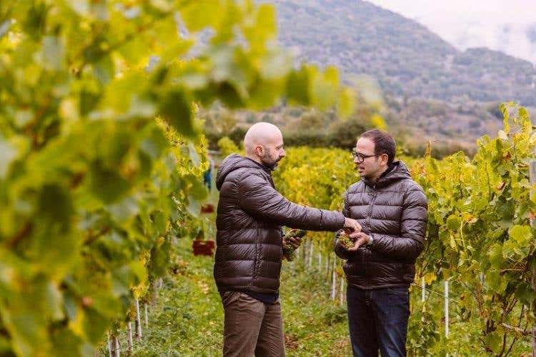 Niko Romito e Andrea di Fabio nel vigneto Casadonna